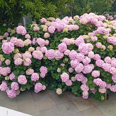 Soric Appartement Trogir